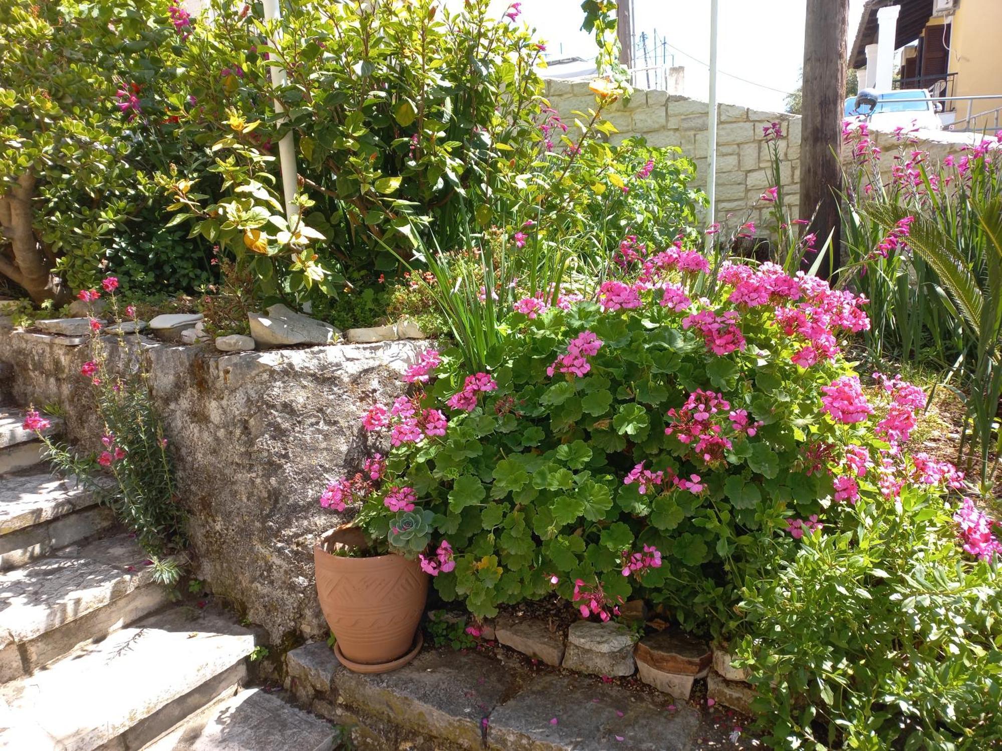 Ferienwohnung Oneiro House Kassiopi Exterior foto