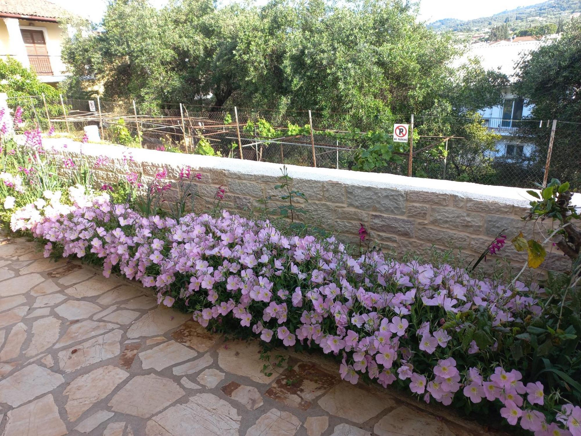 Ferienwohnung Oneiro House Kassiopi Exterior foto